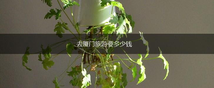 去厦门旅游要多少钱,第1张