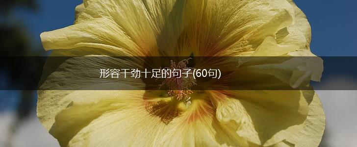 形容干劲十足的句子(60句),第1张