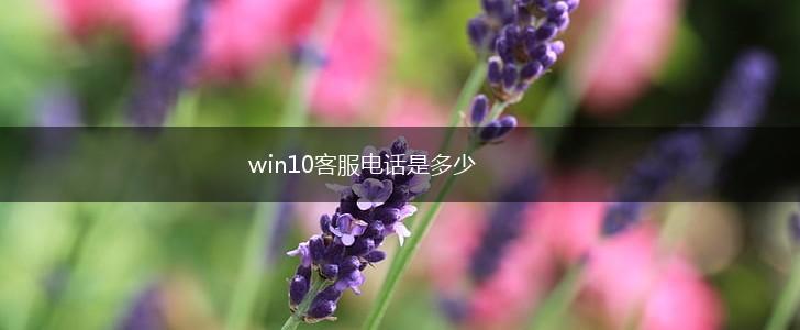 win10客服电话是多少,第1张
