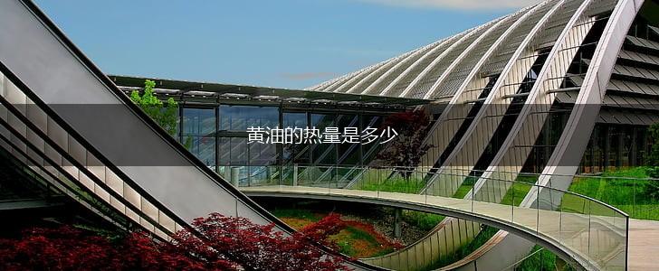 黄油的热量是多少,第1张