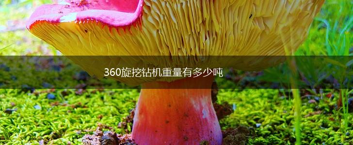 360旋挖钻机重量有多少吨,第1张