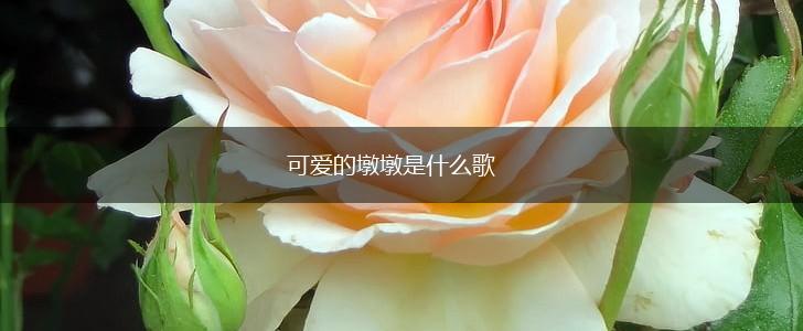 可爱的墩墩是什么歌,第1张