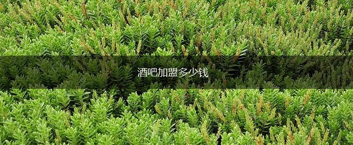 酒吧加盟多少钱,第1张