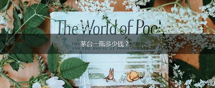 茅台一瓶多少钱？,第1张