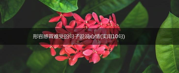 形容感冒难受的句子说说心情(实用10句),第1张