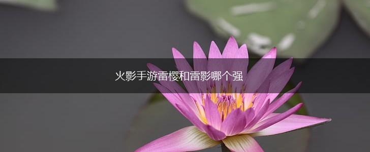 火影手游雷樱和雷影哪个强,第1张