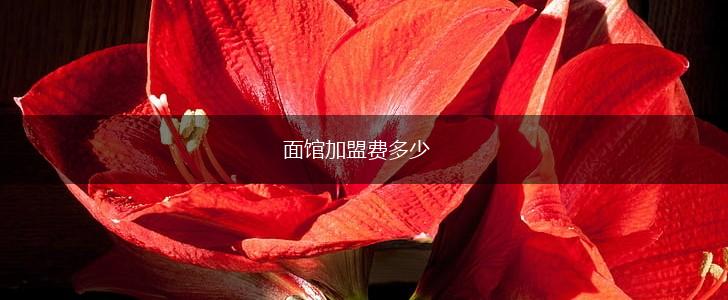 面馆加盟费多少,第1张