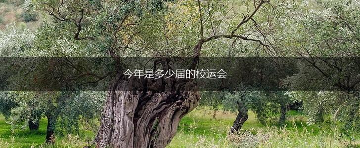 今年是多少届的校运会,第1张