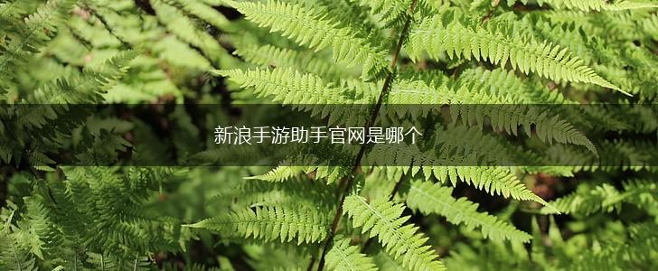 新浪手游助手官网是哪个,第1张