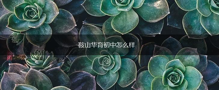 鞍山华育初中怎么样,第1张