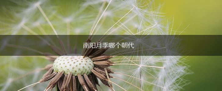 南阳月季哪个朝代,第1张