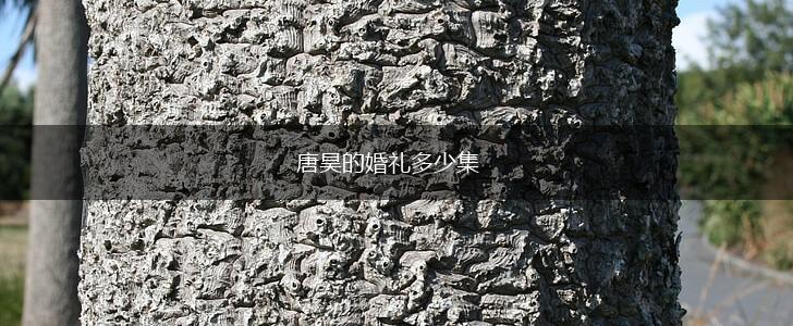 唐昊的婚礼多少集,第1张