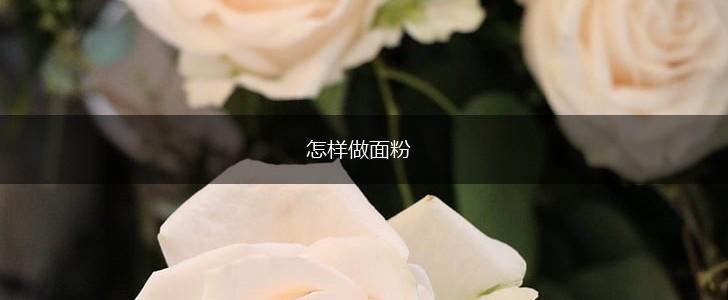 怎样做面粉,第1张