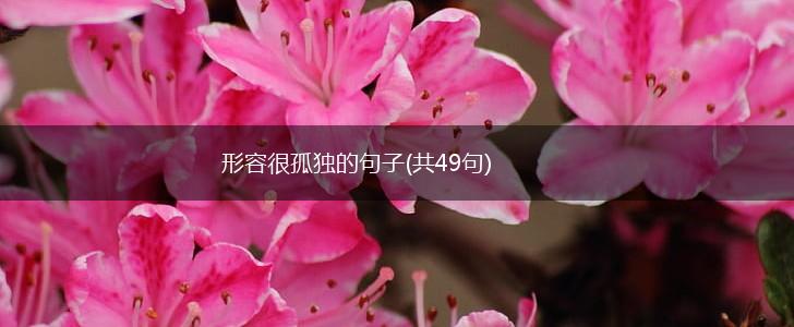 形容很孤独的句子(共49句),第1张