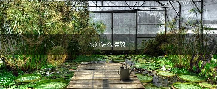 茶道怎么摆放,第1张