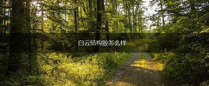白云结构胶怎么样,第1张