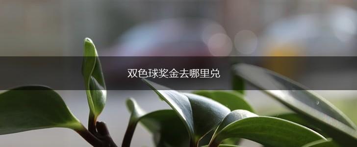 双色球奖金去哪里兑,第1张