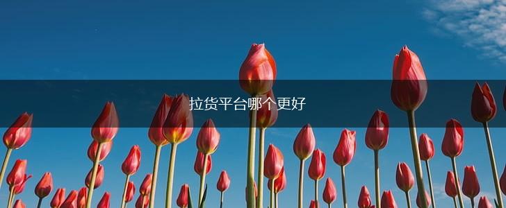拉货平台哪个更好,第1张