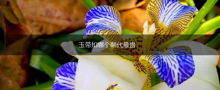 玉带扣哪个朝代最贵,第1张