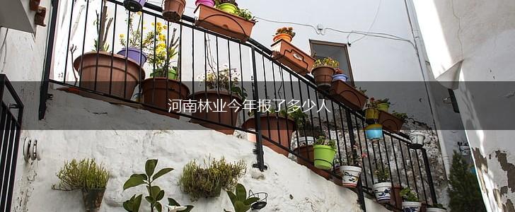 河南林业今年报了多少人,第1张