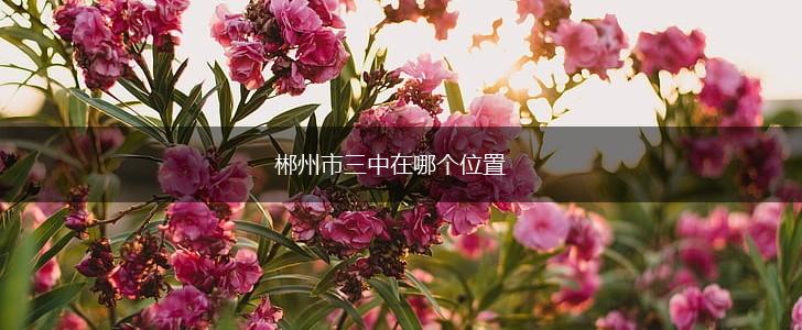 郴州市三中在哪个位置,第1张
