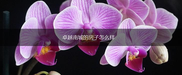 卓越南城的房子怎么样,第1张