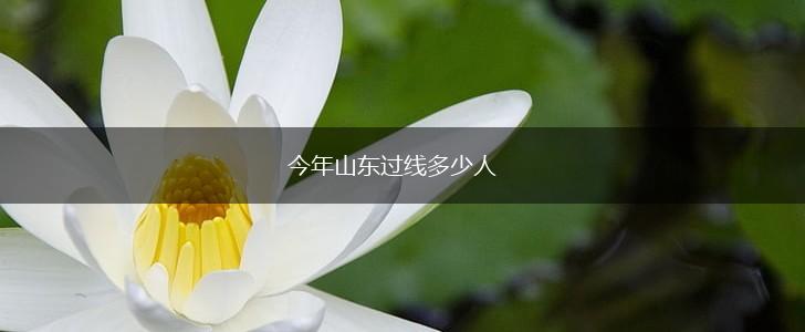 今年山东过线多少人,第1张