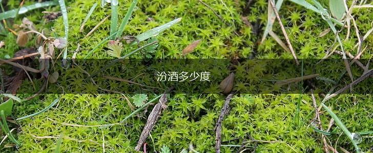 汾酒多少度,第1张