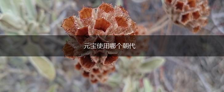 元宝使用哪个朝代,第1张