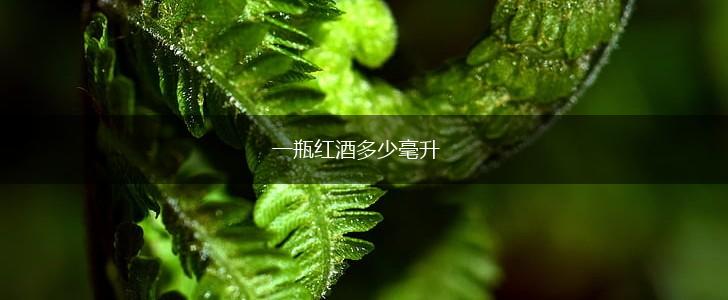 一瓶红酒多少毫升,第1张