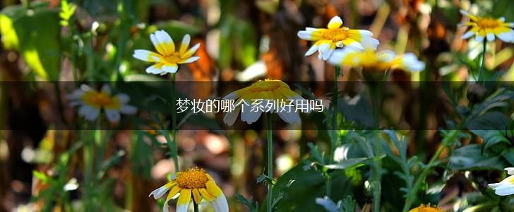 梦妆的哪个系列好用吗,第1张