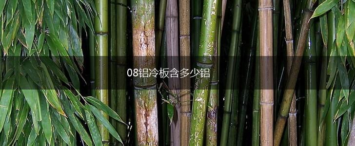 08铝冷板含多少铝,第1张