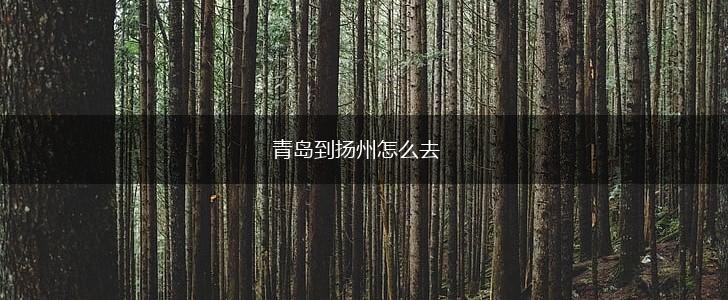 青岛到扬州怎么去,第1张