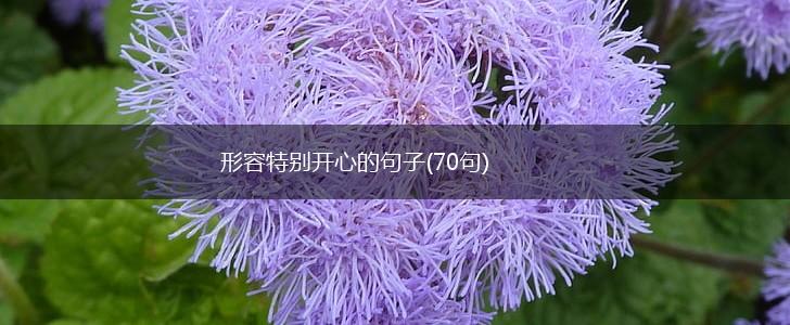 形容特别开心的句子(70句),第1张