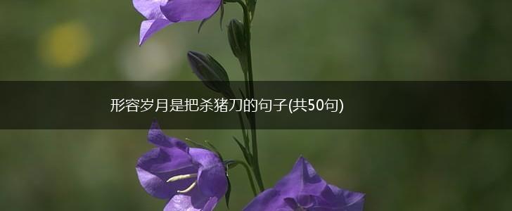 形容岁月是把杀猪刀的句子(共50句),第1张