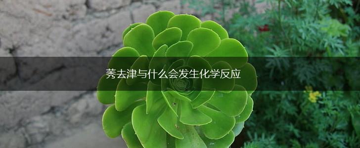 莠去津与什么会发生化学反应,第1张