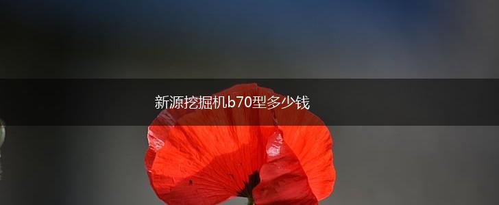新源挖掘机b70型多少钱,第1张
