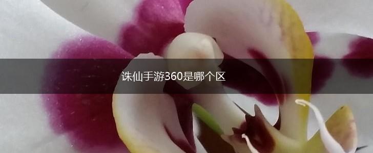诛仙手游360是哪个区,第1张
