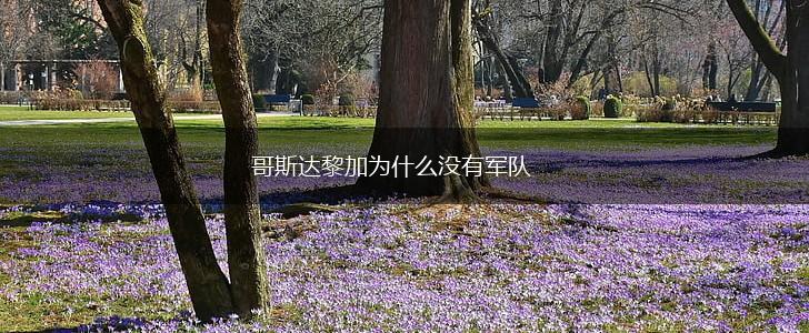 哥斯达黎加为什么没有军队,第1张