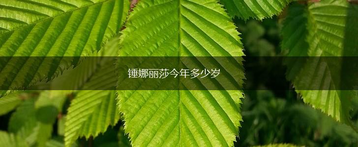 锤娜丽莎今年多少岁,第1张