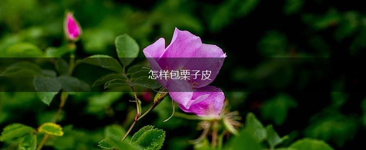 怎样包栗子皮,第1张