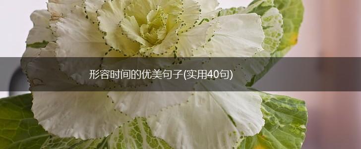 形容时间的优美句子(实用40句),第1张