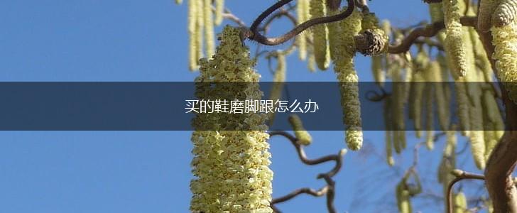 买的鞋磨脚跟怎么办,第1张
