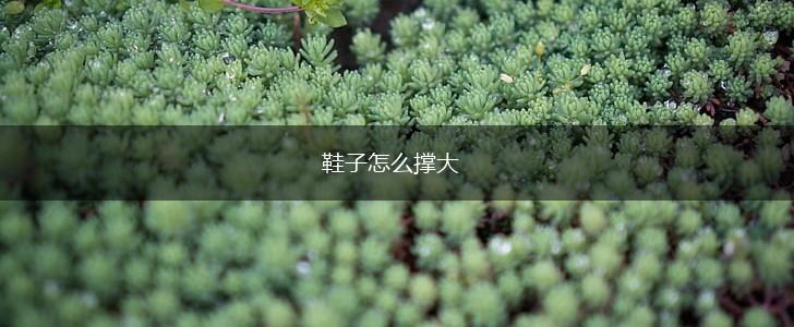 鞋子怎么撑大,第1张