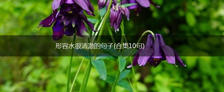 形容水很清澈的句子(合集10句),第1张
