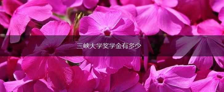 三峡大学奖学金有多少,第1张