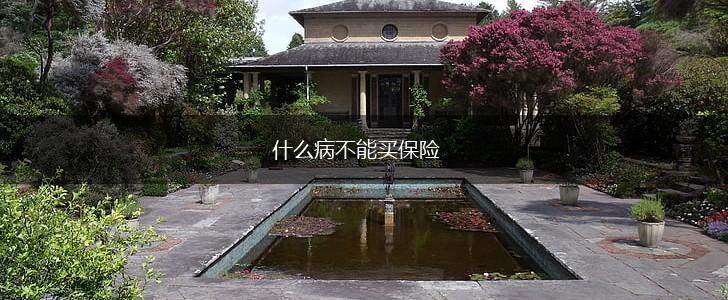 什么病不能买保险,第1张