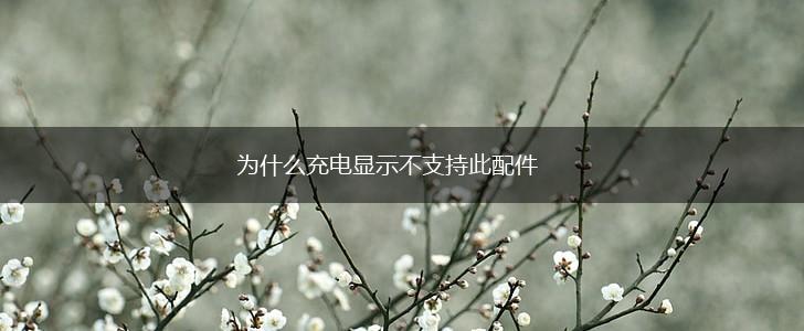 为什么充电显示不支持此配件,第1张