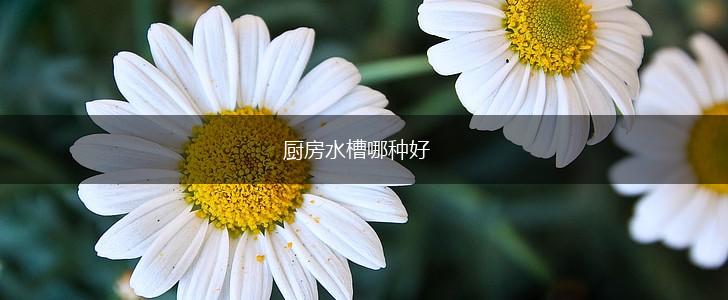 厨房水槽哪种好,第1张