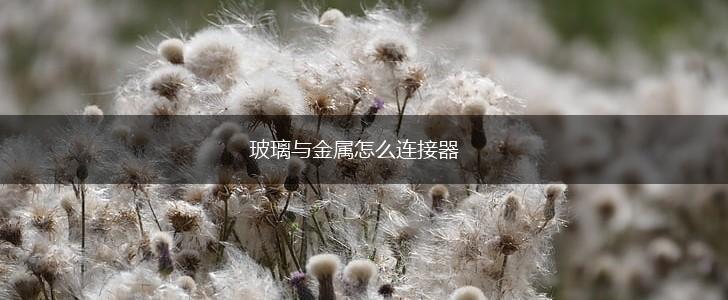 玻璃与金属怎么连接器,第1张